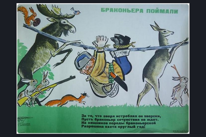Браконьерство картинки для детей